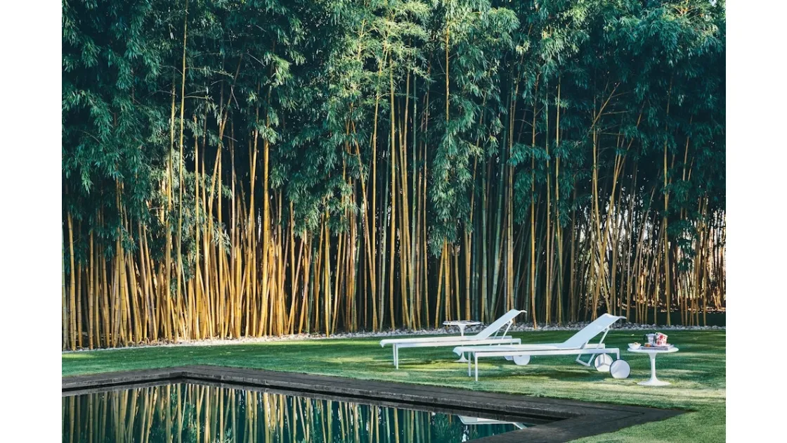 Lettino da giardino 1966 Adjustable Chaise Lounge di Knoll