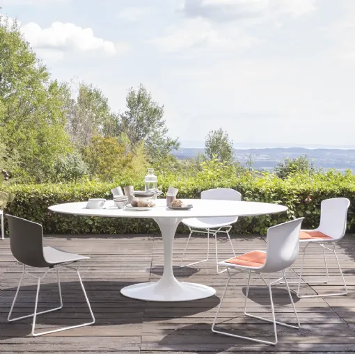 Sedia Bertoia Plastic Side di Knoll